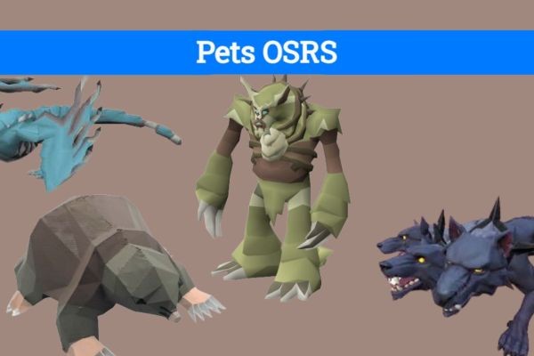 Best Pets to Obtain in OSRS